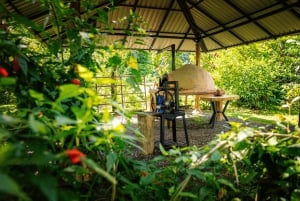 Passeios TWILIGHT em Arenal e aula de culinária de tortilhas