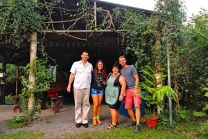 La Fortuna: Costa Rica-madlavningskursus + middag + natlig frøtur