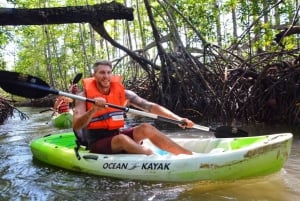 Uvita: 5 i 1 adrenalinopplevelser på Rainforest Adventure