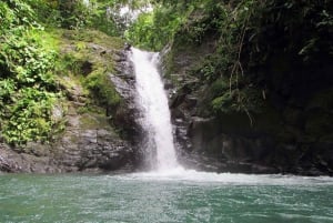 Uvita: Aventura de adrenalina 5 em 1 no Rainforest Adventure
