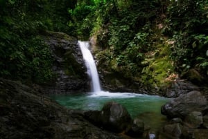 Uvita : Aventure d'adrénaline 5 en 1 à Rainforest Adventure