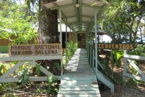 Uvita: 5 i 1 adrenalin-eventyr hos Rainforest Adventure