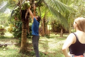 Uvita: tour agrícola y cocina tradicional