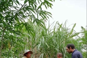 Uvita: tour agrícola y cocina tradicional