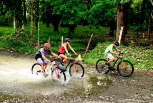 Uvita Beach: Jungle/Waterfalls Mountain Bike Tour in Uvita