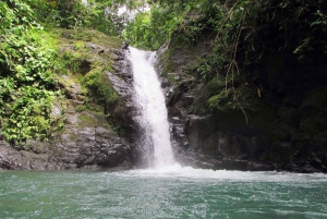 Uvita Beach: Jungle/Waterfalls Mountain Bike Tour in Uvita