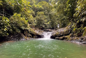 Uvita Beach: Jungle/Waterfalls Mountain Bike Tour in Uvita