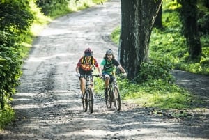 Spiaggia di Uvita: tour in mountain bike nella giungla/cascate a Uvita