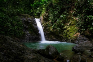 Spiaggia di Uvita: tour in mountain bike nella giungla/cascate a Uvita