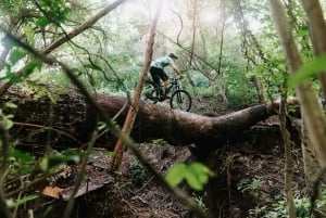 Uvita Beach: Jungle/Waterfalls Mountain Bike Tour in Uvita