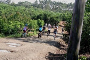 Praia de Uvita: passeio de mountain bike na selva/cachoeiras em Uvita