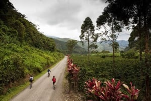 Praia de Uvita: passeio de mountain bike na selva/cachoeiras em Uvita