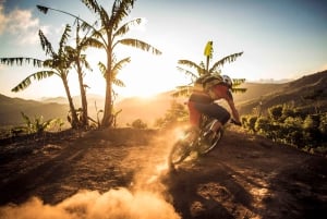 Praia de Uvita: passeio de mountain bike na selva/cachoeiras em Uvita
