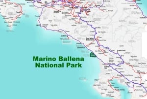 Praia de Uvita: passeio de mountain bike na selva/cachoeiras em Uvita