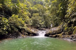 Praia de Uvita: passeio de mountain bike na selva/cachoeiras em Uvita