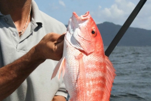 Uvita: Hantverksmässigt fiske från båt till bord (Mar a Mesa)