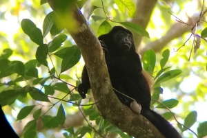 Uvita: Caño Island & Corcovado National Park Combo Tour