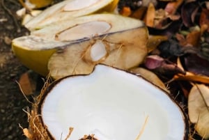 Uvita: Kokosnøtttur med guide