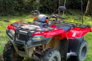 Uvita, Costa Rica: Excursión de Aventura en ATV y Buggies