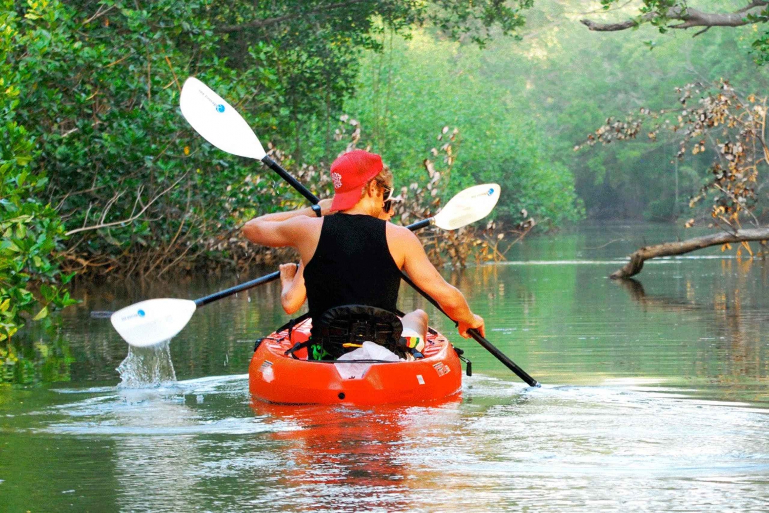 Uvita - Dominical: Tour in kayak alle mangrovie di Terraba