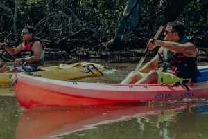 Uvita - Dominical: Private Kayak Tour - Mangroves of Terraba