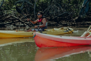 Uvita - Dominical : Visite privée en kayak - Mangroves de Terraba