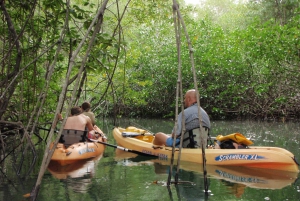 Uvita - Dominical : Visite privée en kayak - Mangroves de Terraba