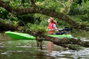 Uvita - Dominical : Visite privée en kayak - Mangroves de Terraba