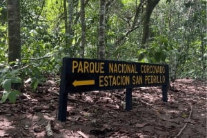 Uvita: Hiking in Corcovado National Park