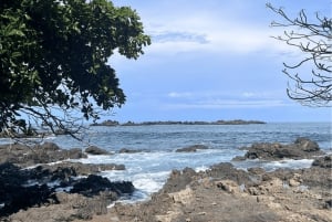 Uvita: Vaellus Corcovadon kansallispuistossa