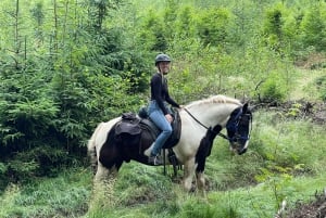 Uvita: Horseback Riding Costa Rica