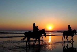 Uvita: Horseback Riding Costa Rica