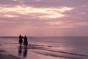 Uvita: Horseback Riding Costa Rica