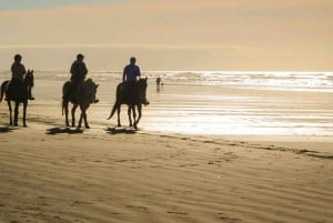 Uvita: Horseback Riding Costa Rica