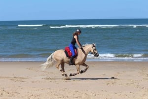 Uvita: Horseback Riding Costa Rica