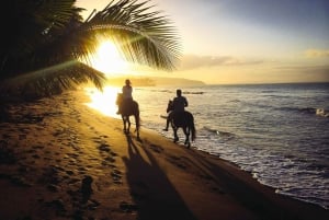 Uvita: Horseback Riding Costa Rica