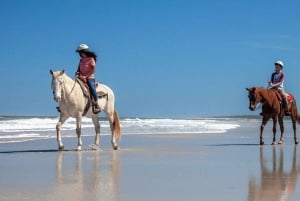 Uvita: Horseback Riding Costa Rica