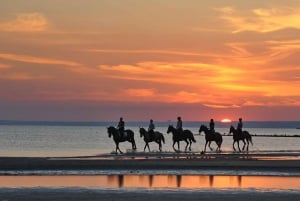 Uvita: Horseback Riding Costa Rica