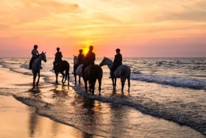 Uvita: Horseback Riding Costa Rica