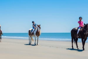 Uvita: Ridning på hesteryg Costa Rica
