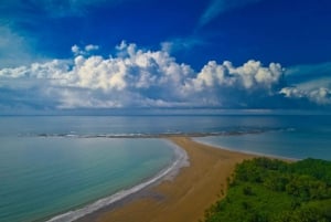 Uvita: Marino Ballena National Park Private Guided Walk Tour