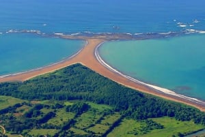 Uvita: Marino Ballena nationalpark guidet gåtur