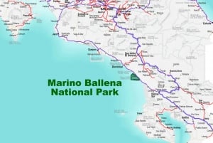 Uvita: Marino Ballena nationalpark guidet gåtur