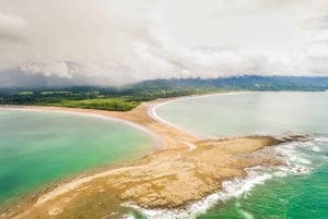 Uvita: Marino Ballena nationalpark guidet gåtur