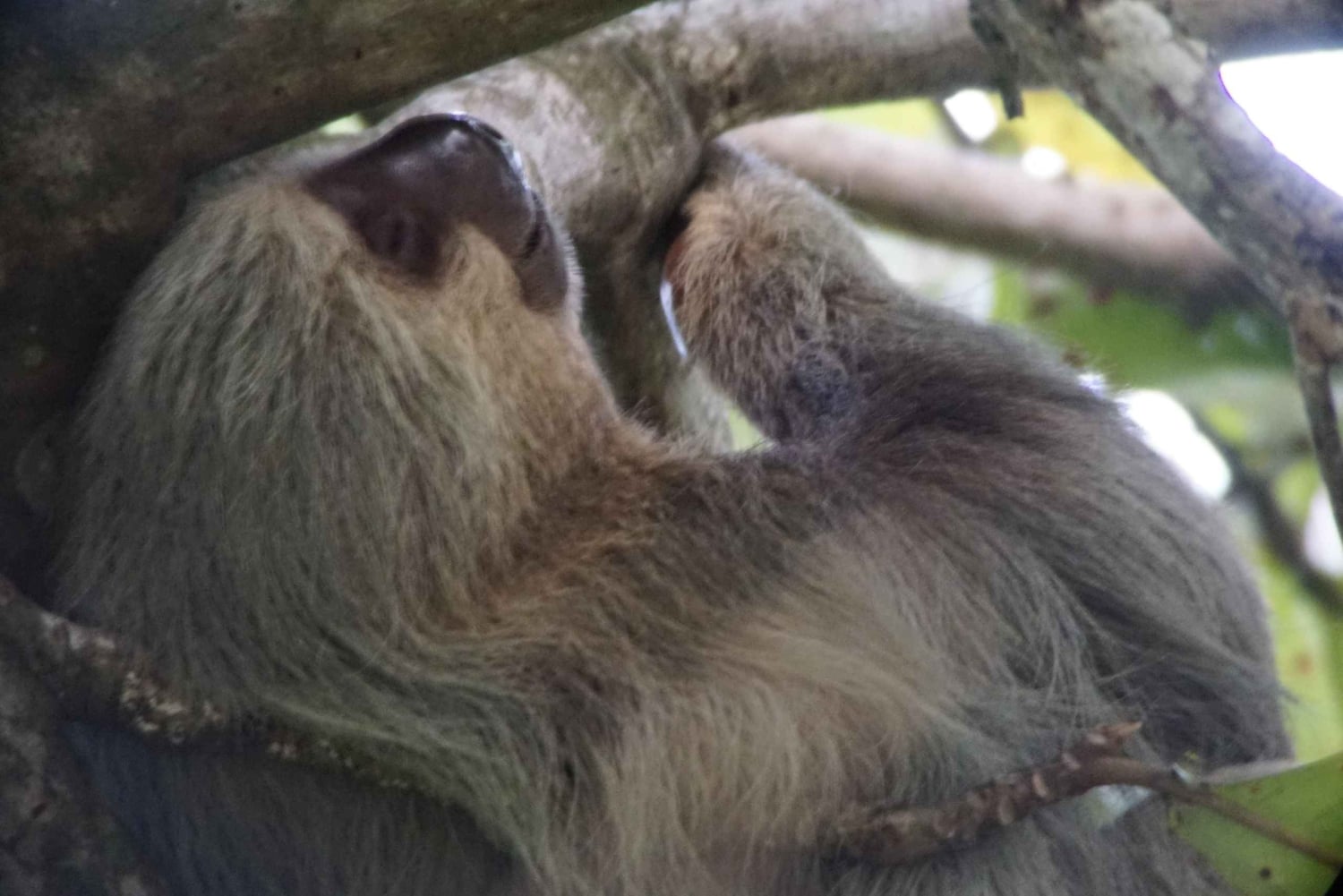 Uvita : Promenade dans la nature au parc national Marino Ballena