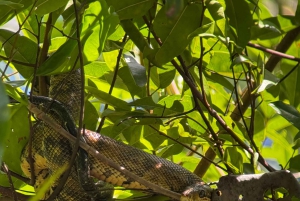 Uvita : Promenade dans la nature au parc national Marino Ballena