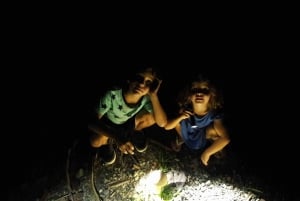 Uvita: Private Nature & Wildlife Night Tour Tropical Forest