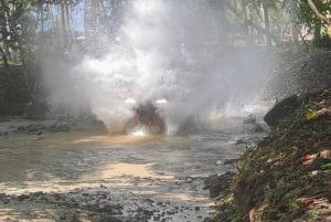 Uvita: Nauyaca Waterfalls Private 4-Seater SxS Tour & Lunch