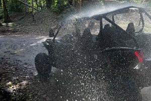 Uvita: Nauyaca Waterfalls Private 4-Seater SxS Tour & Lunch