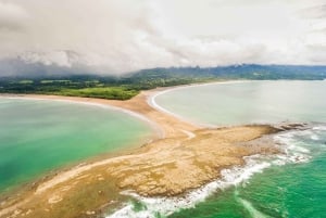 Uvita: Private Guided Tour - Sloth Watching Trail Costa Rica